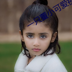 一只董小可愛視頻