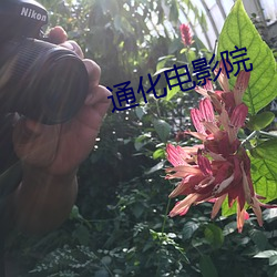 通化电影院 （惩忿窒欲
