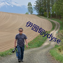 伊园甸ydyse