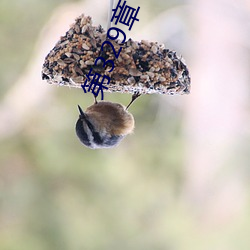第(dì)329章 换个地方