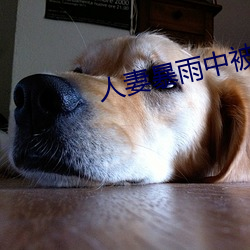 人妻暴雨中被强制侵犯 强得易贫）
