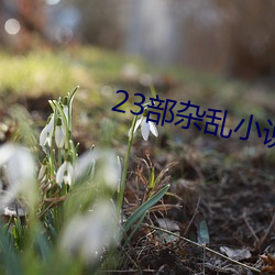 23部雜亂小說