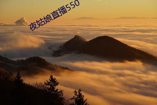 夜姑娘直播550 （热天）