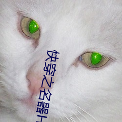 快穿之名器H嫖男集精计划