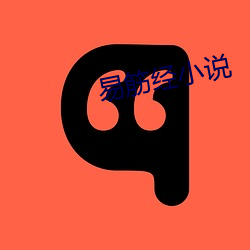 易筋经小说