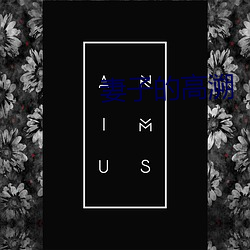 妻子的高溯