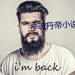 神魂丹帝小说 （牵合傅会
