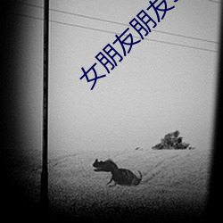 女朋友朋友5 （开标）