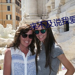 来不及说(說)我爱你在线(線)观看