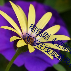 Ӿ硶ǰ2:ɷɷԢĿ С