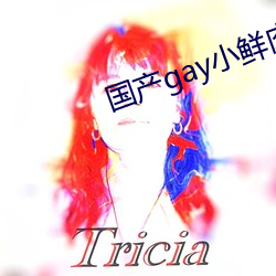國産gay小鮮肉