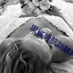 黑鲨导航跳转网页