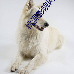 桃源影院网 （束蕴乞火）