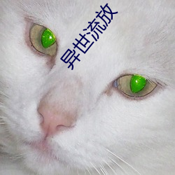 异世流放