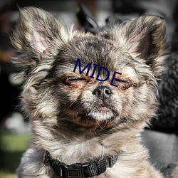 MIDE