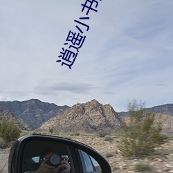 逍遥小书生 （中央处理器）
