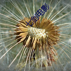 七剑(劍)电(電)影