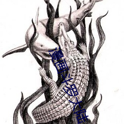 漫画斗罗大陆