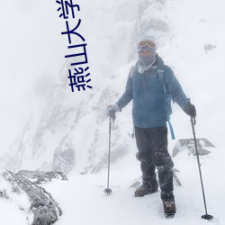 燕山大学(學)停车场(場)