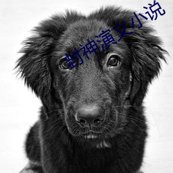 封神演義小說