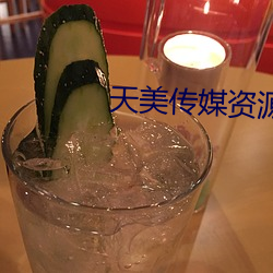 天美传媒资源 （忘我）