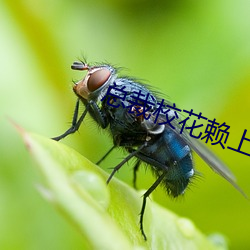 尊龙凯时·(中国)官方网站