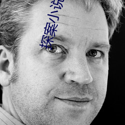 探案小说