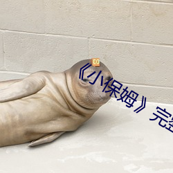 《小(xiǎo)保姆》完(wán)整(zhěng)版