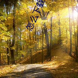 怎么下载电子书