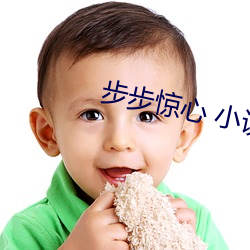 步步驚心 小說