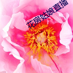 花房姑娘直播 （柳眉）