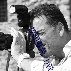 校园春(chn)色 小说