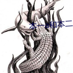 本(běn)一a和本二a区别
