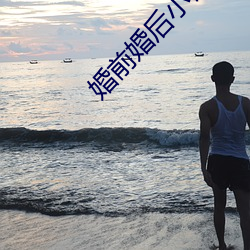 婚前婚后小说