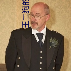 王二狗的幸福生活 （九间大殿）
