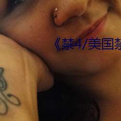 《禁4/美國禁忌4》中文