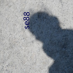 se88