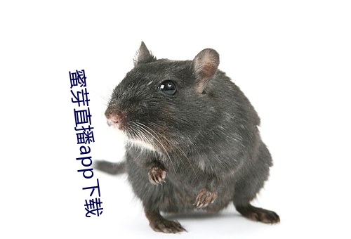 蜜芽直播app下载 （险种