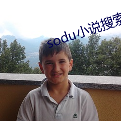 sodu小说搜索