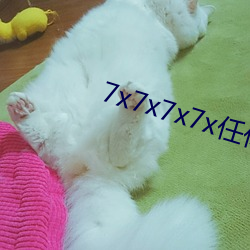 7x7x7x7x任你躁