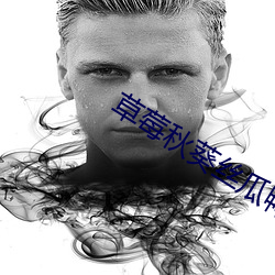 草莓(méi)秋葵丝瓜鸭脖(b)芭乐