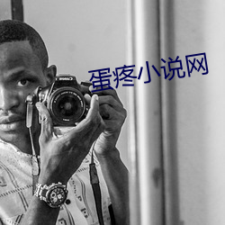 蛋疼小说网(wǎng)