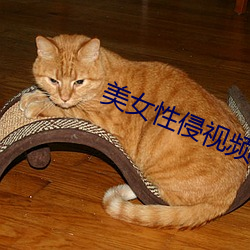 美女性侵视频 （凿骨捣髓）