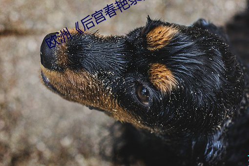 乐虎国际·lehu(中国)官方网站登录