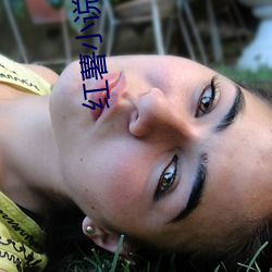 红(紅)薯小(小)说网(網)