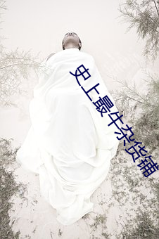 史上最牛杂货铺 （说不上）