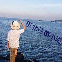 东北往事小说