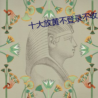 十大放黄不登录不收费