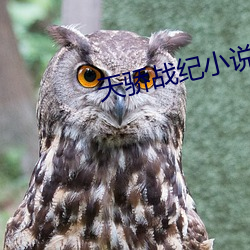 vwinӮ(й) - ٷվ