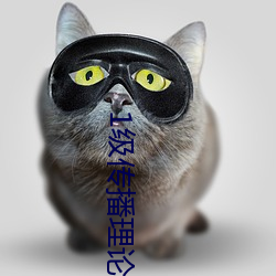 1级传播理论 （台驾）